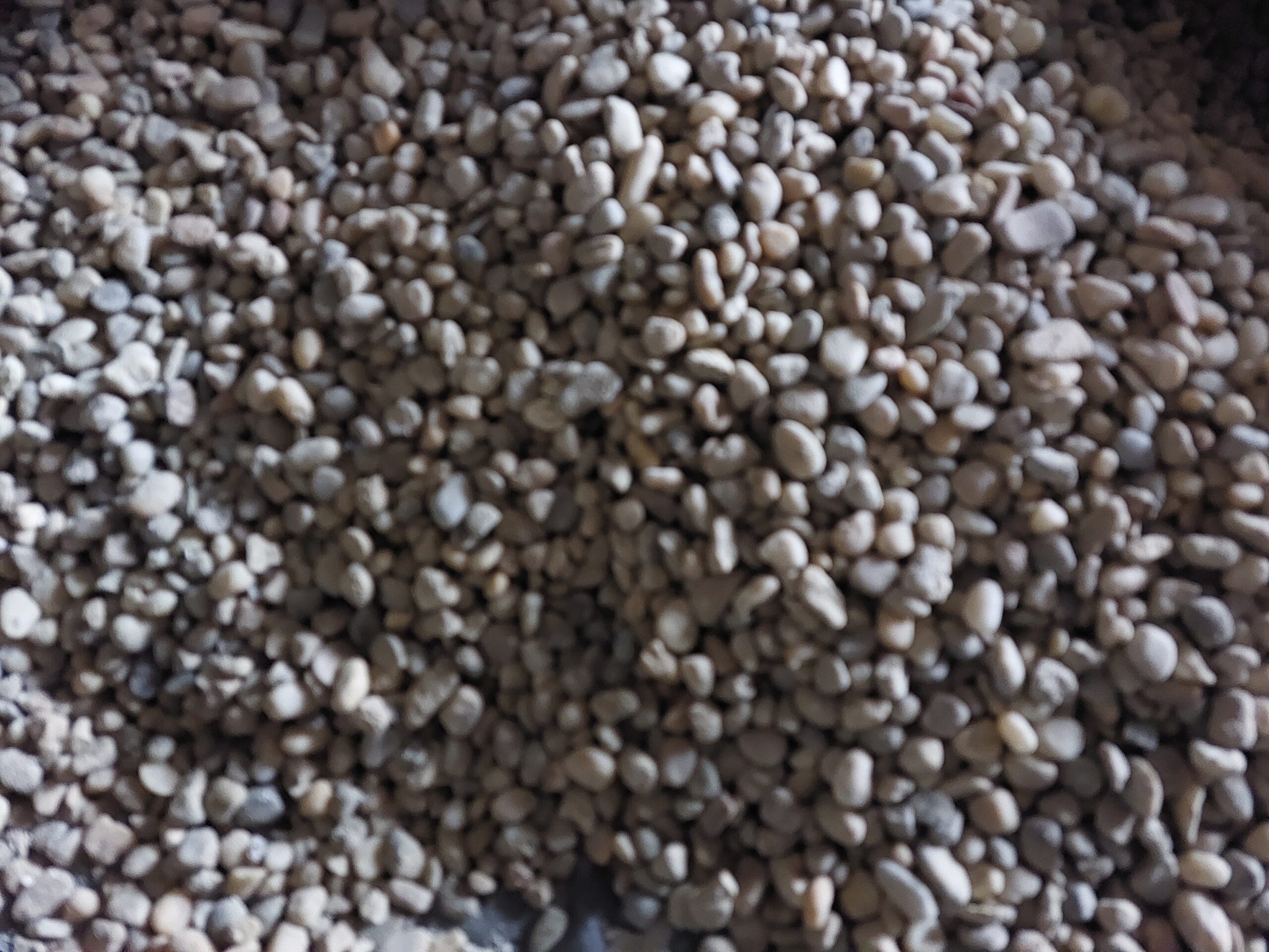 Zsákos 4-8 mosott gyöngykavics 25kg – 1500 Ft