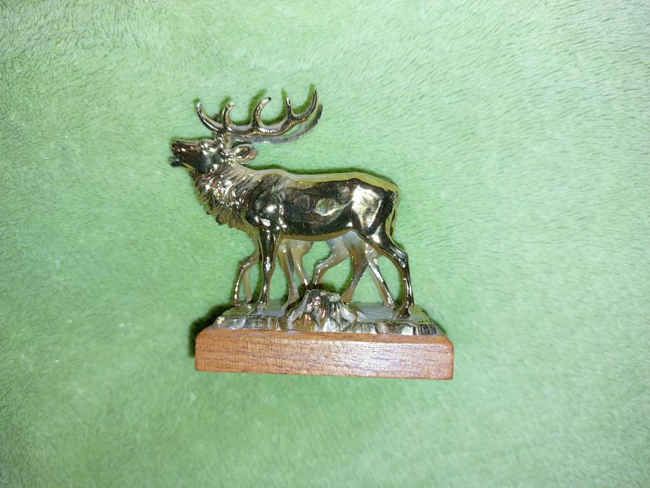 elado aranyozott szarvascsalad