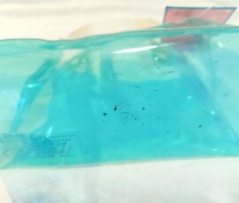 elado ralph lauren travel case4